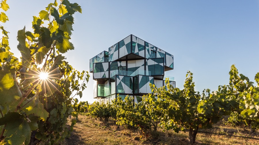 d'Arenberg Cube and vines